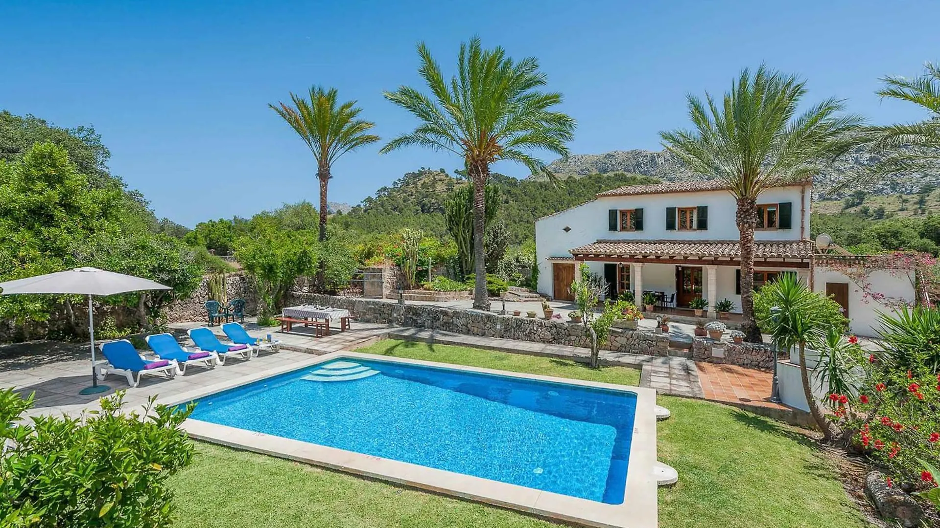 Cala San Vicente -3669 Mallorca location